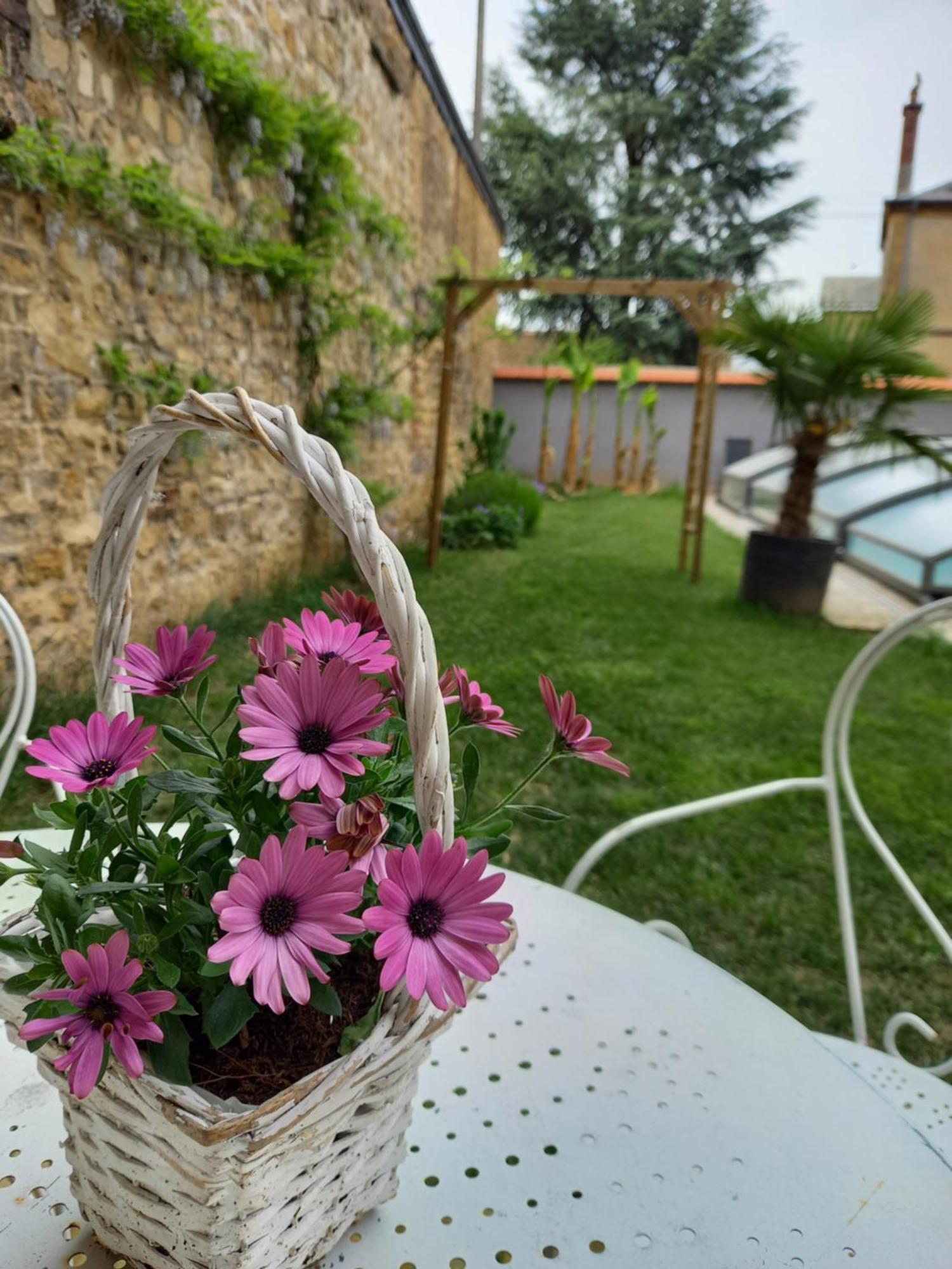 Appartement, 2Eme Etage Avec Piscine Partagee Седан Экстерьер фото